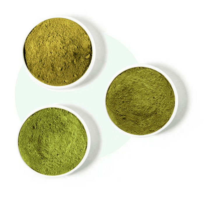 Three bowls with different kinds of kratom