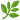 Kratom leaf
