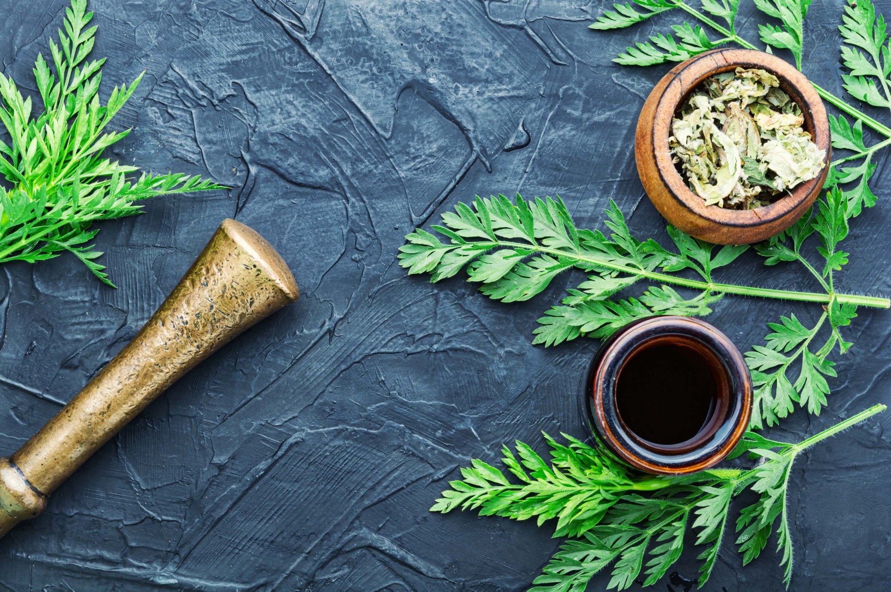 Healing properties wild carrots herbal medicine